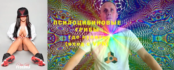 метадон Алексин